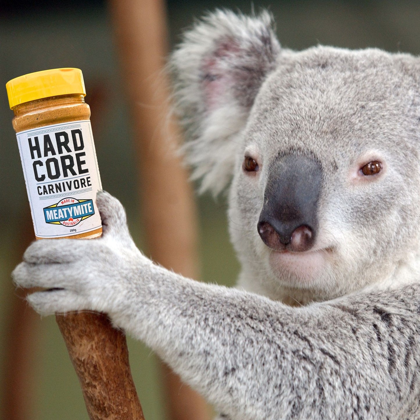 Hardcore Carnivore MeatyMite Australian seasoning